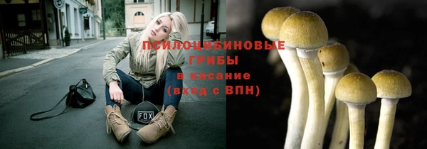 марки nbome Козловка