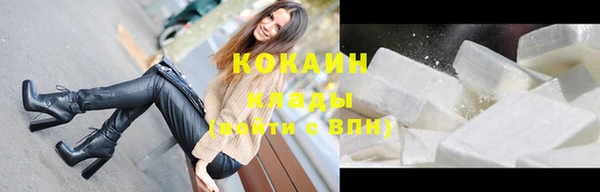трава Кодинск