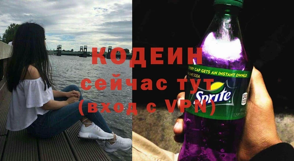 трава Кодинск